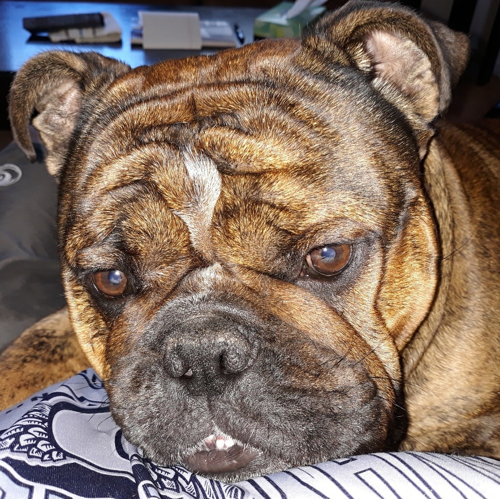 Meet your Posher, Scott